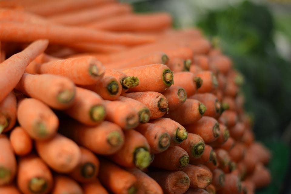 Cenouras empilhadas em camadas, com folhas verdes ao fundo