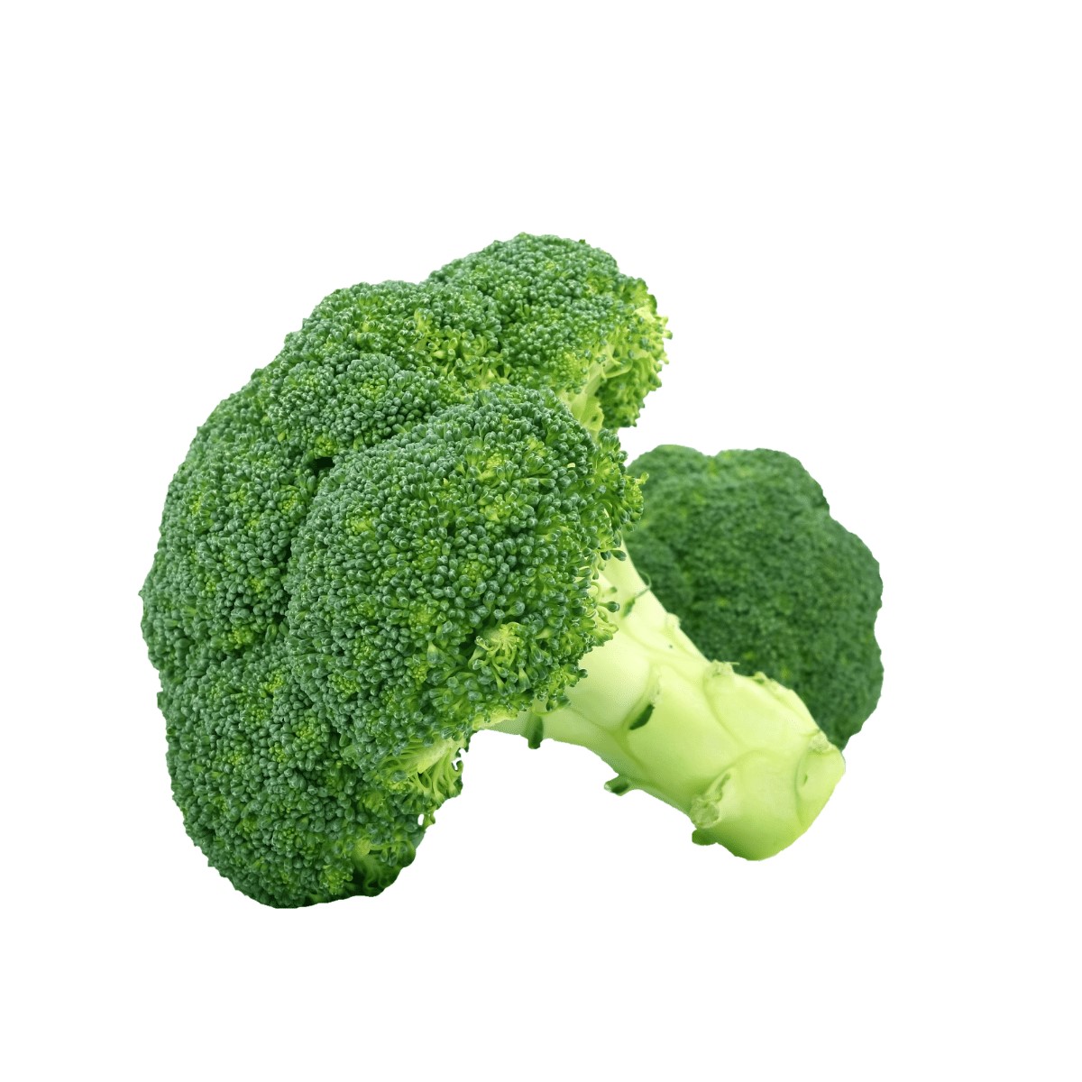 BROCOLISNINJA.png