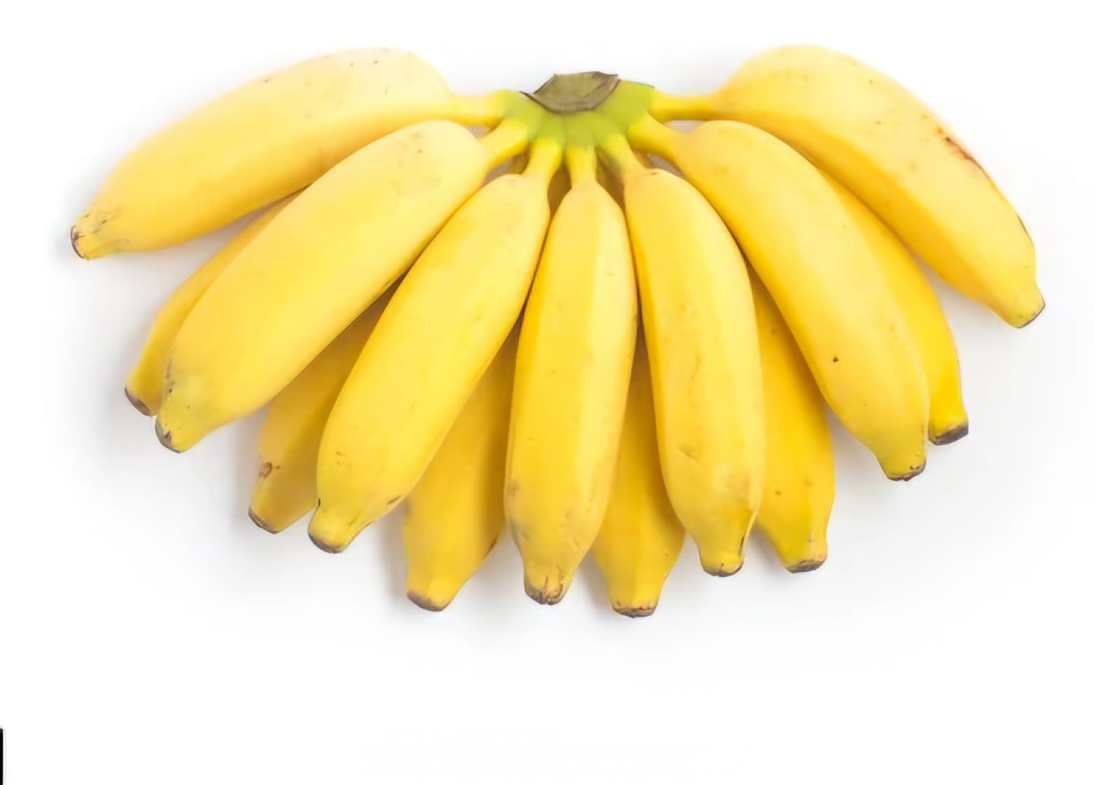 BANANAPRATA